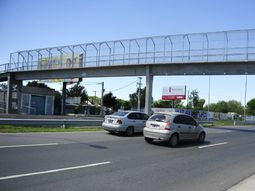 La joven fue arrojada desde cinco metros de altura y se encuentra en grave estado
