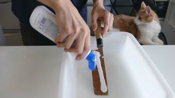 La manera de afilar los cuchillos en poco tiempo y de manera sencilla. El mejor truco casero. La manera de afilar los cuchillos en poco tiempo y de manera sencilla. El mejor truco casero.