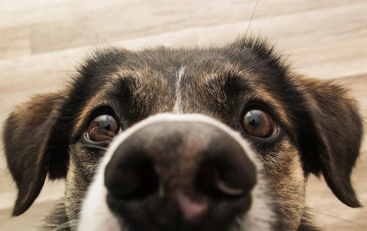 Insólito gasto del gobierno de Rodríguez Larreta