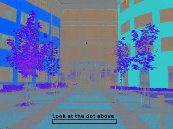 La ilusión óptica que es viral: ¿los edificios están en color o en blanco y negro?