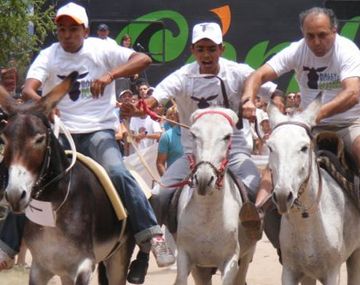 Rally Mundial de Burros, edición 2012.