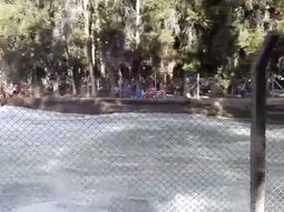 Peligrosa aventura de cinco chicos en Mendoza Peligrosa aventura de cinco chicos en Mendoza