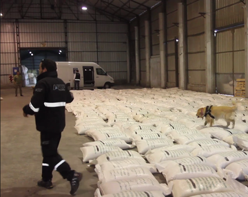 Operación risotto: querían enviar cocaína a África en granos de arroz
