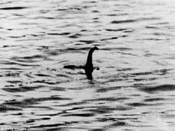 google street view permite buscar a nessie google street view permite buscar a nessie