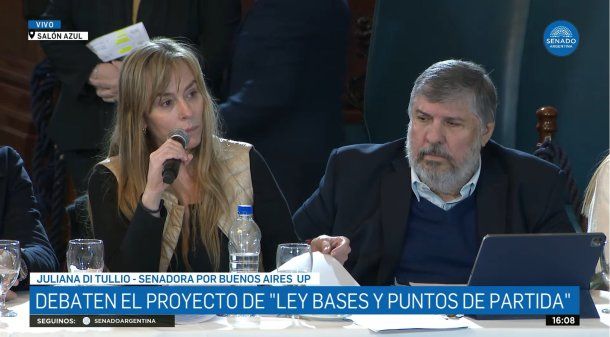 Juliana Di Tullio dejó al descubierto las insólitas inconsistencias de la Ley Bases: Pelito pa la vieja