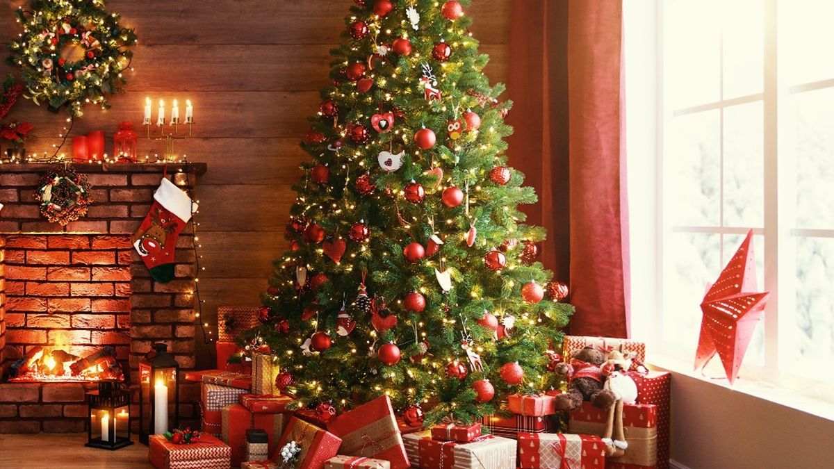 Imagen noticia completa