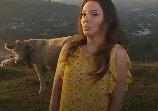 VIDEO: Vacas irrumpieron en una transmisión de televisión