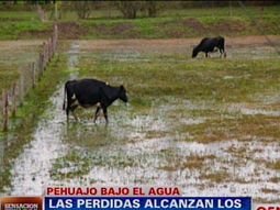 hugo biolcati: pasamos de la sequia a las inundaciones hugo biolcati: pasamos de la sequia a las inundaciones