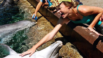 la foto de brie larson con un delfin que provoco indignacion en instagram la foto de brie larson con un delfin que provoco indignacion en instagram