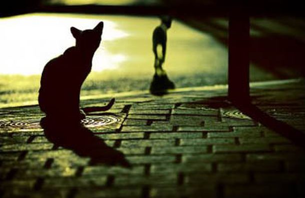 Street_Survivors_by_gilad