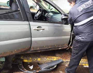 Perros antidrogas hallan en un auto marihuana valuada en $980 mil