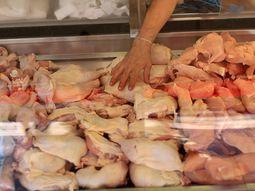 la importacion de pollo desde brasil divide las aguas en el sector avicola la importacion de pollo desde brasil divide las aguas en el sector avicola