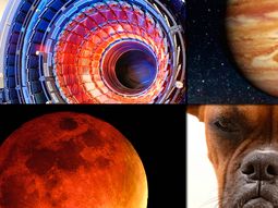 ¿que avances cientificos pueden esperarse en 2016? ¿que avances cientificos pueden esperarse en 2016?