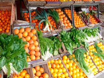 La lechuga llegó a $180 el kilo por las lluvias