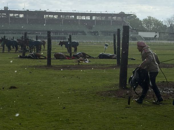 Tragedia en el Jockey Club de San Isidro: un rayo mató a cuatro yeguas y un cuidador terminó en el hospital&nbsp;