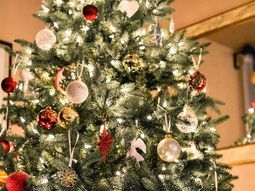 cuanto cuesta armar el arbolito de navidad: un 12% mas que el ano pasado cuanto cuesta armar el arbolito de navidad: un 12% mas que el ano pasado