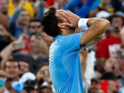video: del potro se quebro en llanto tras ganarle a nadal y pasar a la final video: del potro se quebro en llanto tras ganarle a nadal y pasar a la final