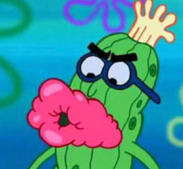 Los memes por Luciana Salazar en La Noche de Mirtha Legrand