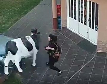 Milagro en Santa Fe: una mujer se salvó de ser atropellada gracias a su increíble reacción