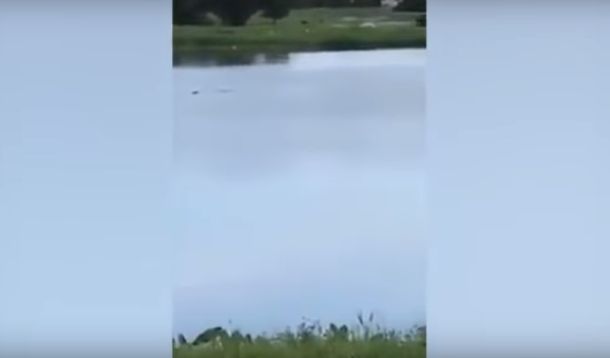 Grabaron cómo un hombre moria ahogado y no lo ayudaron&nbsp;