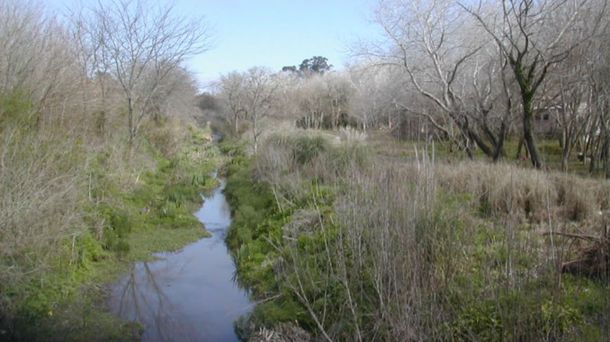 Hallaron muerto al chico que había caído al arroyo tras el temporal