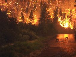 Los incendios más trágicos en la historia de Chile