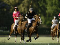 un hombre robaba caballos de polo para hacer chorizos y salamines un hombre robaba caballos de polo para hacer chorizos y salamines