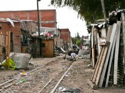 ¿Alimentar es una estupidez?