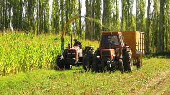 cerealeros rechazan recrear la junta nacional de granos cerealeros rechazan recrear la junta nacional de granos