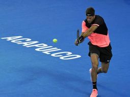 Juan Martín Del Potro en Acapulco