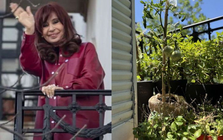 Cristina Kirchner compartió la historia del tomate peronista