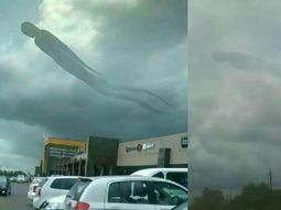 La figura tenía 100 metros de largo