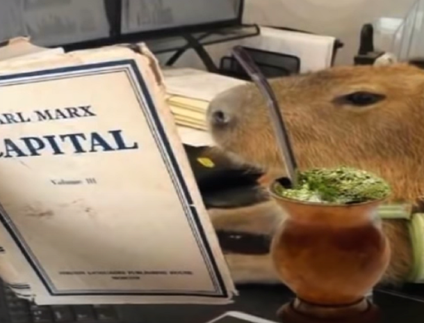 Llegó la cumbia del carpincho: Ay carpincho, no seas así, me lo ataca al caniche, no lo deja salir