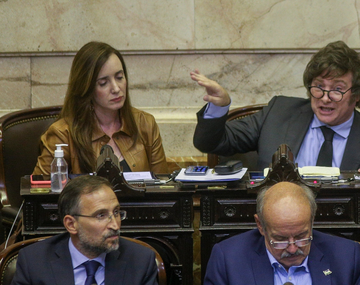 Uno por uno: los diputados del FdT que votaron junto a Milei y López Murphy contra el acuerdo con el FMI