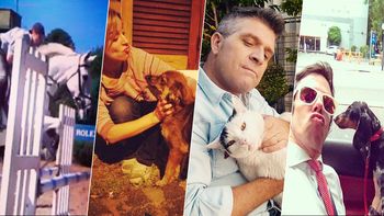 los periodistas de c5n muestran a sus mascotas en el dia del animal los periodistas de c5n muestran a sus mascotas en el dia del animal