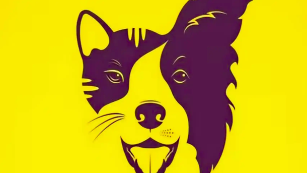 El test viral que revela tus defectos y virtudes según lo que veas en esta imagen