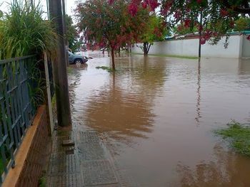 Foto gentileza: Notisanpedro