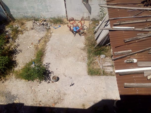 Maltrato animal: vecinos denunciaron que golpearon a un perro y lo dejaron desangrarse