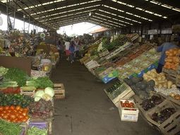 Mercadocentral_dyn