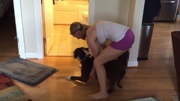 No quiere saber nada: así tuvo que arrastrar a su perro para poder bañarlo