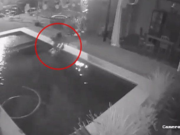 Indignante: entró a una casa para robar una garrafa y ahogó al perro