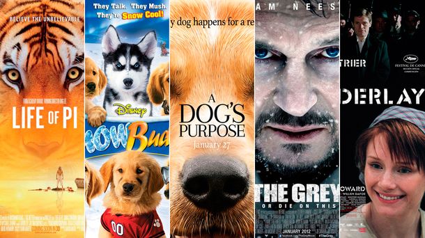Películas de Hollywood acusadas por maltrato animal