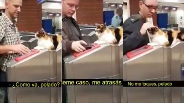 Metrodelegato, el video viral sobre un intruso en el subte