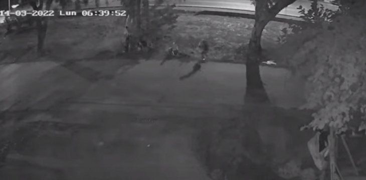 Mendoza: asesinaron de un piedrazo a un joven para robarle la bicicleta y detuvieron al principal sospechoso