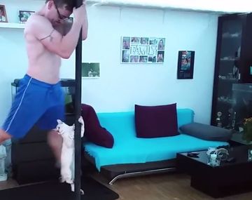 Este gato sorprende con el baile del caño