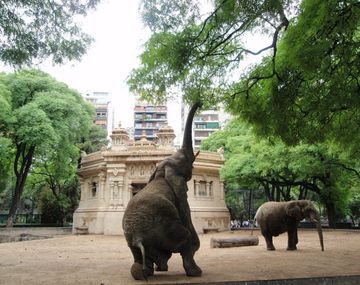 Se comienza a debatir el futuro del zoo porteño