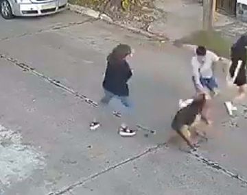 Quién es el culpable si un perro con amo mata a otro y cómo separarlos cuando se pelean