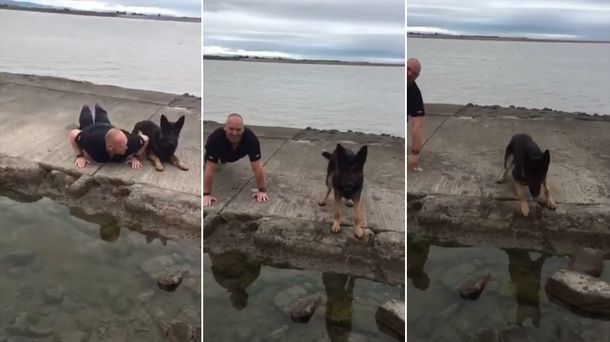 VIDEO: Un perro hace flexiones con un policía para concientizar sobre el sedentarismo