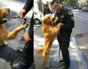 Perra experta en detectar explosivos en Casa Rosada.