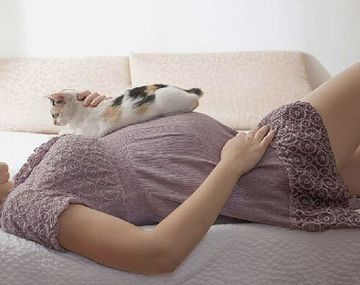 El peligro real de tener un gato para una embarazada